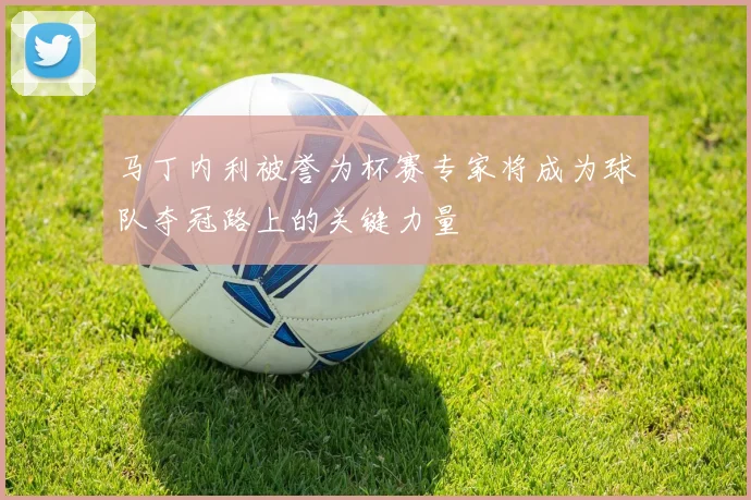 马丁内利被誉为杯赛专家将成为球队夺冠路上的关键力量