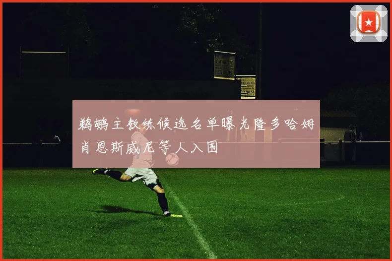 鹈鹕主教练候选名单曝光隆多哈姆肖恩斯威尼等人入围